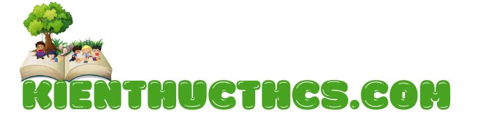 https://kienthucthcs.com logo