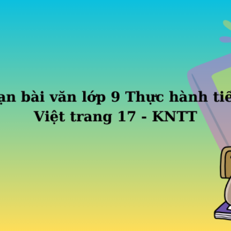 Soạn bài văn lớp 9 Thực hành tiếng Việt trang 17 – KNTT