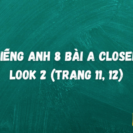 Tiếng anh 8 bài A Closer Look 2 (trang 11, 12) – Global Success