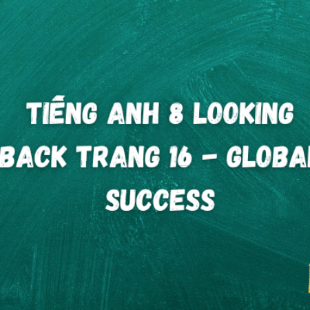 Tiếng anh 8 Looking Back trang 16 – Global Success