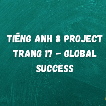 Tiếng anh 8 Project trang 17 – Global Success