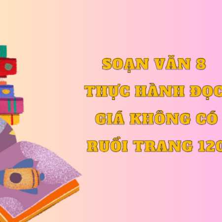 Soạn văn 8: Thực hành đọc giá không có ruồi trang 120 – KNTT