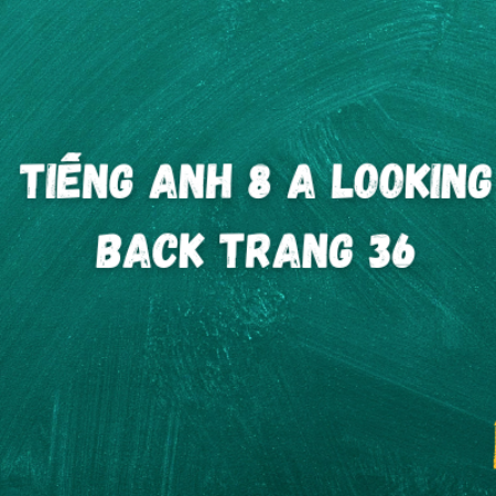 Tiếng anh 8 Looking Back trang 36 – Global Success