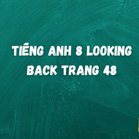 Tiếng anh 8 Looking Back trang 48 – Global Success