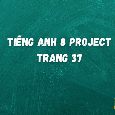 Tiếng anh 8 Project trang 37 – Gloabal Success