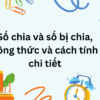 Số chia và số bị chia, công thức và cách tính chi tiết