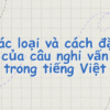 Các loại và cách đặt của câu nghi vấn trong tiếng Việt