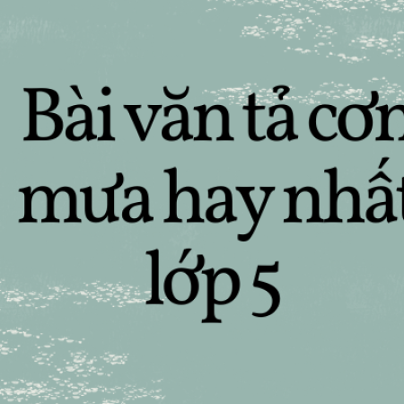 Top 10 bài văn tả cơn mưa hay nhất lớp 5