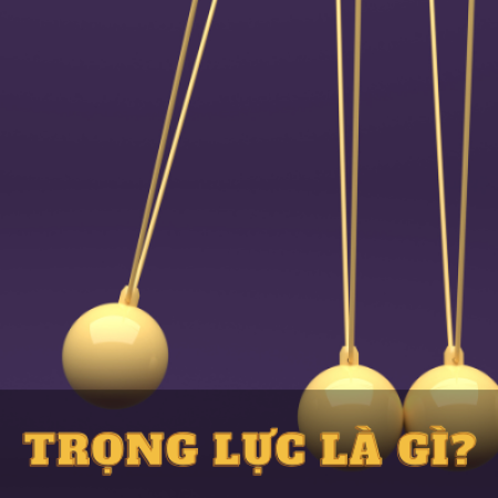 Trọng lực là gì? Đơn vị độ lớn của trọng lực