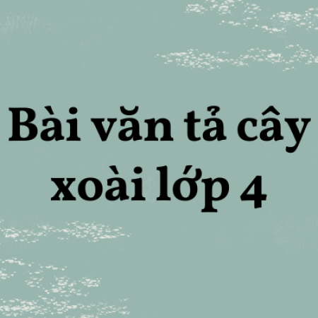 Top 20 bài văn tả cây xoài lớp 4 hay nhất