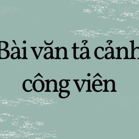 24+ bài văn tả cảnh công viên lớp 5 vào buổi sáng hay nhất