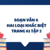 Soạn văn 6: Hai loại khác biệt trang 61 tập 2 – Kết nối tri thức 