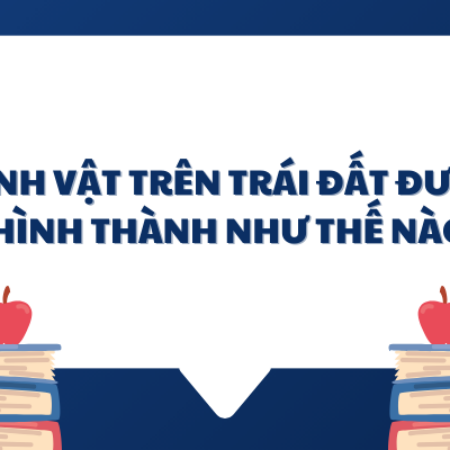 Sinh vật trên Trái Đất được hình thành như thế nào – KNTT