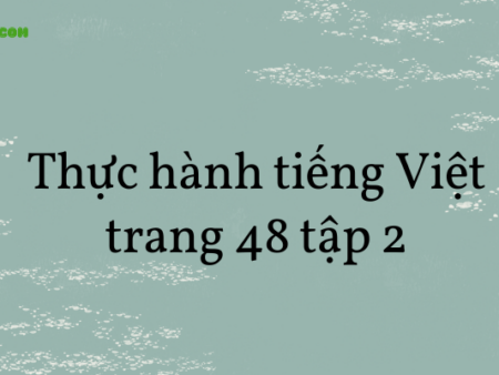 Soạn văn 8: Thực hành tiếng Việt trang 48 tập 2 – KNTT