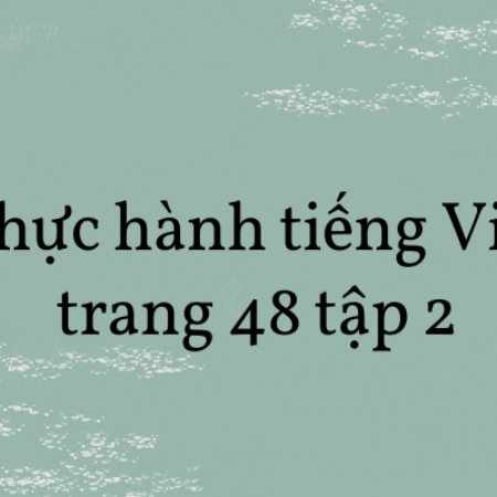 Soạn văn 8: Thực hành tiếng Việt trang 48 tập 2 – KNTT