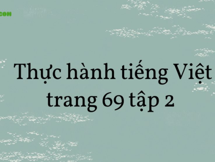 Soạn văn 8: Thực hành tiếng Việt trang 69 tập 2 – KNTT