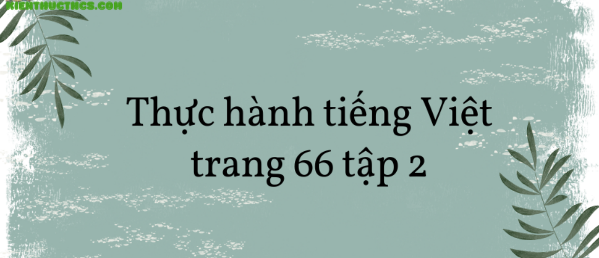 Soạn văn 8: Thực hành tiếng Việt trang 66 tập 2 – KNTT