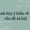 Soạn văn 8: Trình bày ý kiến về một vấn đề xã hội trang 81 tập 2 – KNTT